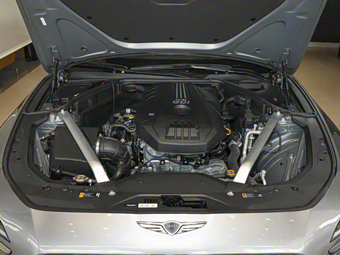 2024�� 2.0T ���Ͱ������콢�� Shooting Brake