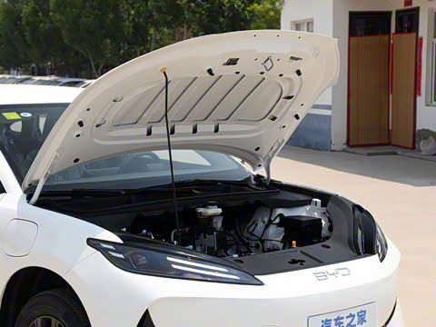 2025�� 520�ǻݰ�