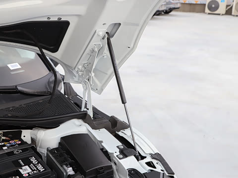 2025�� �Ŀ� ��װ�� 380TSI ���� ������