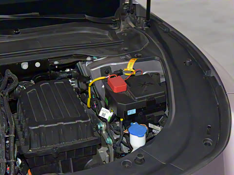 2025�� ���� Max ����������ʻ