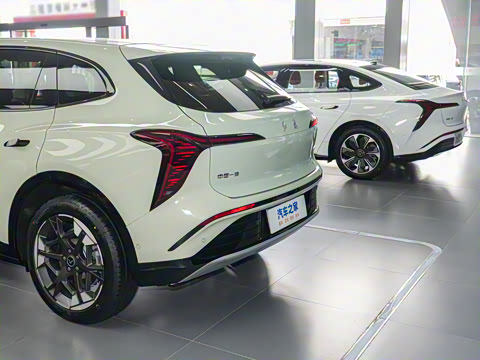 2025�� 520 ��ѡ��