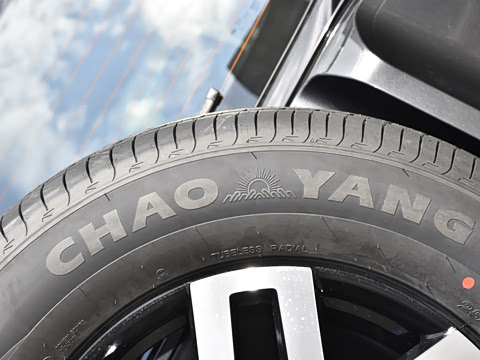 2024�� ����������