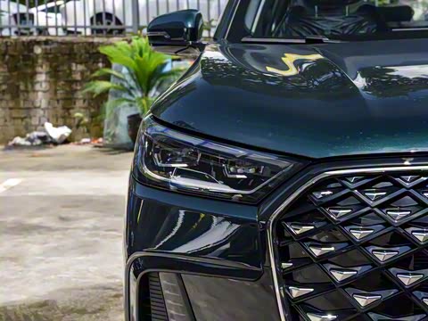 2025�� 290TGDI DCT�˷�� 