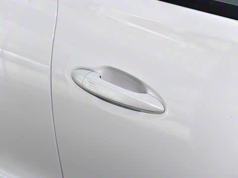 2023�� 290TGDI DCT������