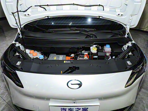 2024�� Younger ��ҫ��