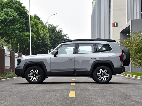 2024�� ����������