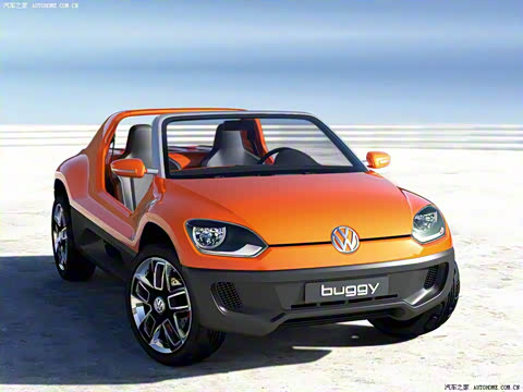 ����(����) Buggy Up