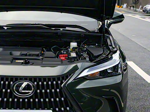 2024�� 260 ǰ�� ���ð�