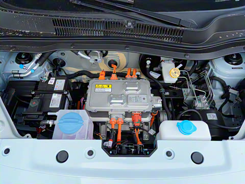 2025�� 310������