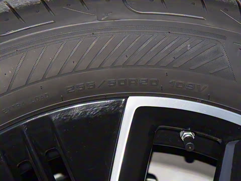 2025�� 725 �������� Max