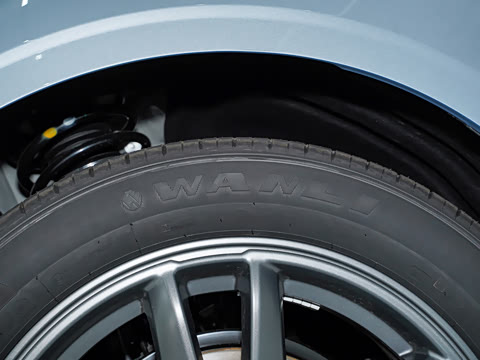 2025�� 555���˰�