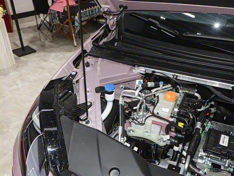 2025�� 520�����״��