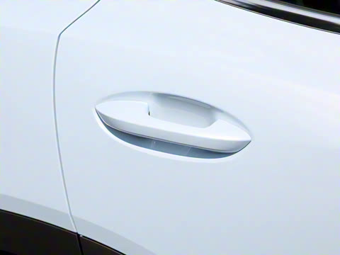 2024�� 1.5TD DHT MAX