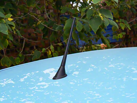 2025�� 222km ������