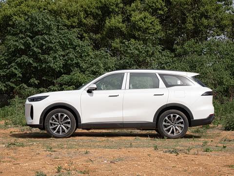 2025�� 120 �������������� 5�� �������