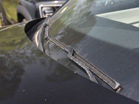 2025�� 215������