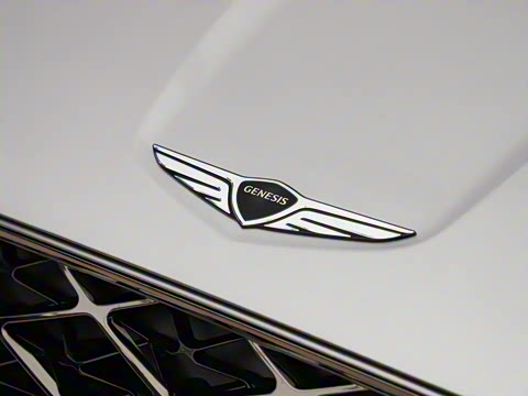 2025�� 2.5T �����콢��