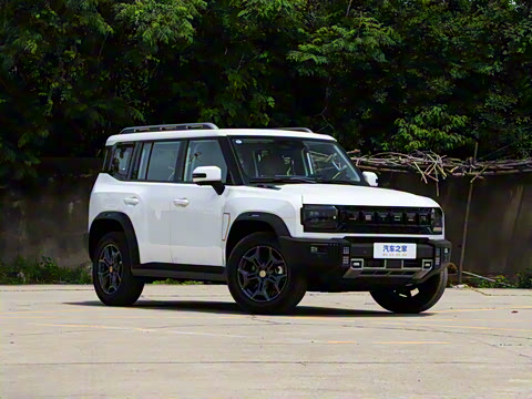 2025�� 2.0TD DCT XWD��Խ