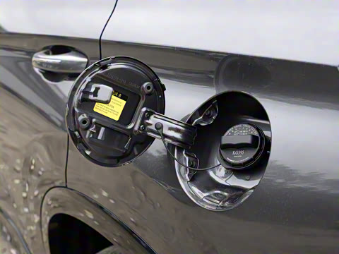 2024�� ������ �ھ��� 2.0T �Ǽݾ�����