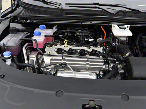 2025�� ���� ����� 230 ������