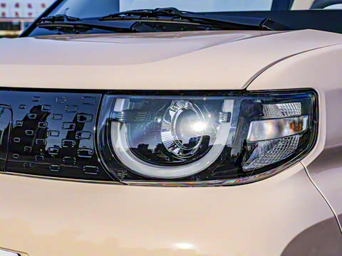 2025�� 155km ʥ����