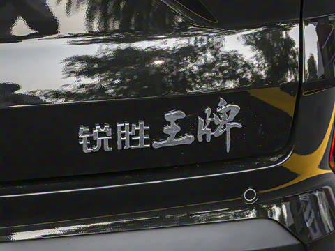 2025�� 2.0L �ֶ���������� 7��