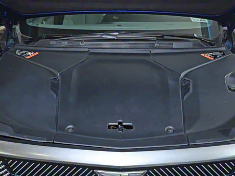 2024�� ������������