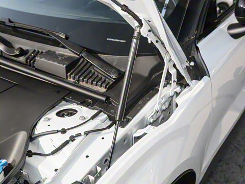 2025�� ������������ Plus