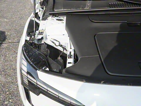 2025�� ������������ Plus