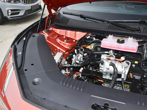 2024�� 71kWh 602km����Pro