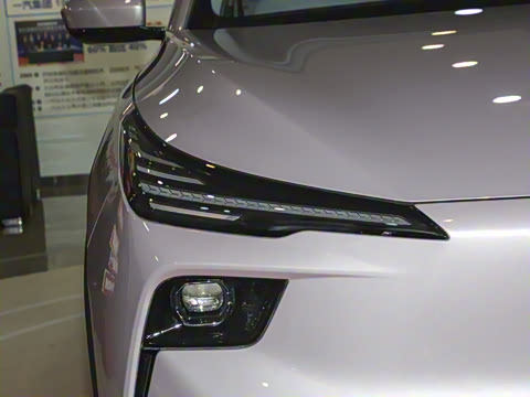 2025�� 565km ������