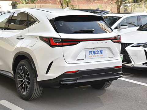 2025�� 260 ǰ�� �ر��