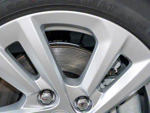 2025�� 365KM ������ 7��