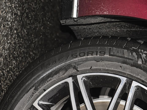 2025�� 260������������