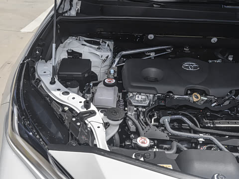 2024�� 2.5L���ܵ��˫�� �����Ƽ���