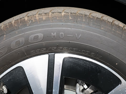 2025�� �������Ȱ�