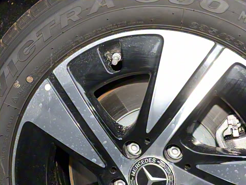 2025�� �������Ȱ�