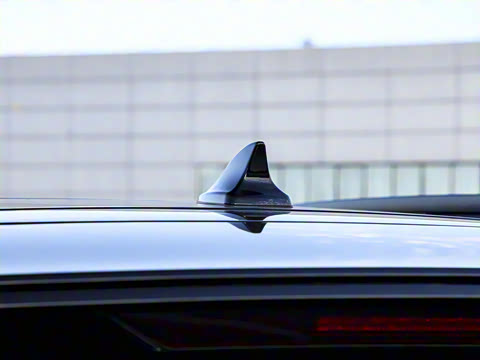 2025�� ������