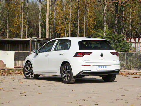 2025�� 300TSI Pro