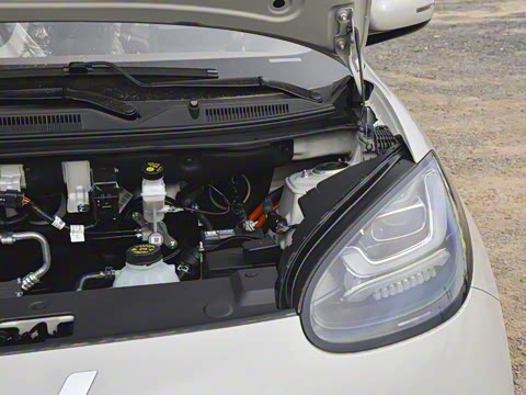 2025�� 333km ������