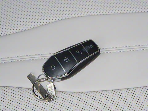 2025�� DM-i 112KM ������