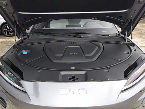 2025�� DM-i 112KM ������