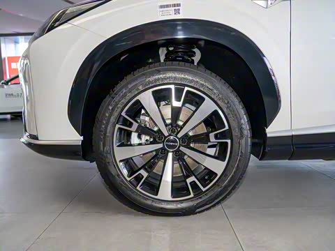 2024�� 135�콢��