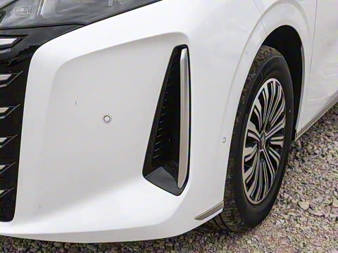 2025�� DM-i 1.5T 100km �캽��