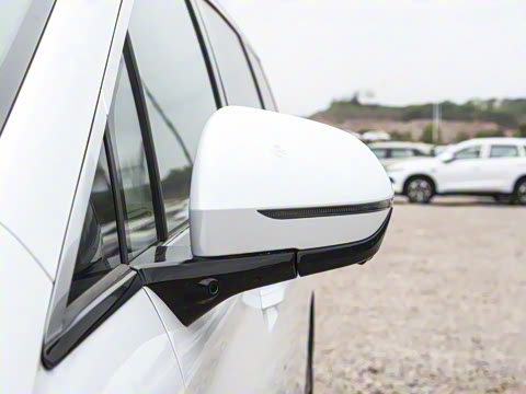 2025�� DM-i 1.5T 100km �캽��