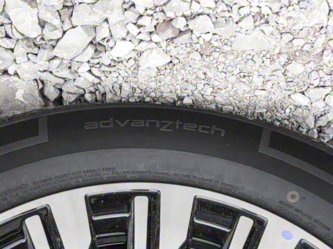 2025�� DM-i 1.5T 100km �캽��