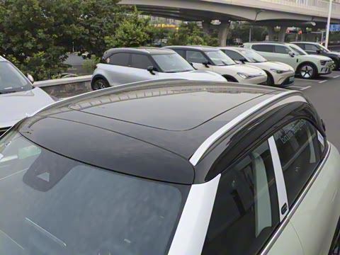 2026�� �鶯��������