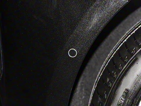 2025�� �׽�ά�ǰ�