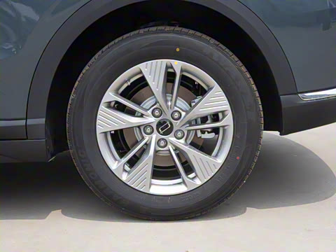 2025�� 445km ��ѡ��