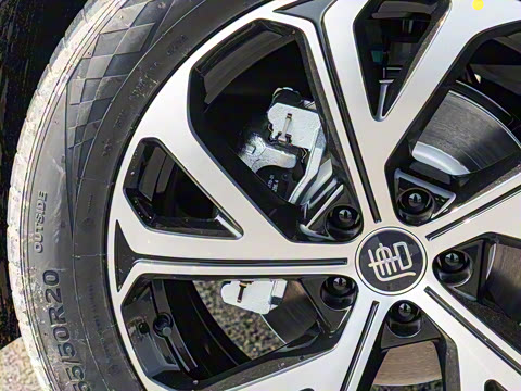 2025�� DM-i 115KM �����